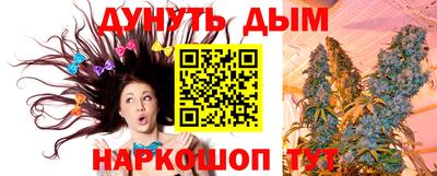 гашик Кулебаки