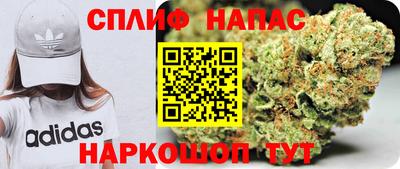 гашик Кулебаки