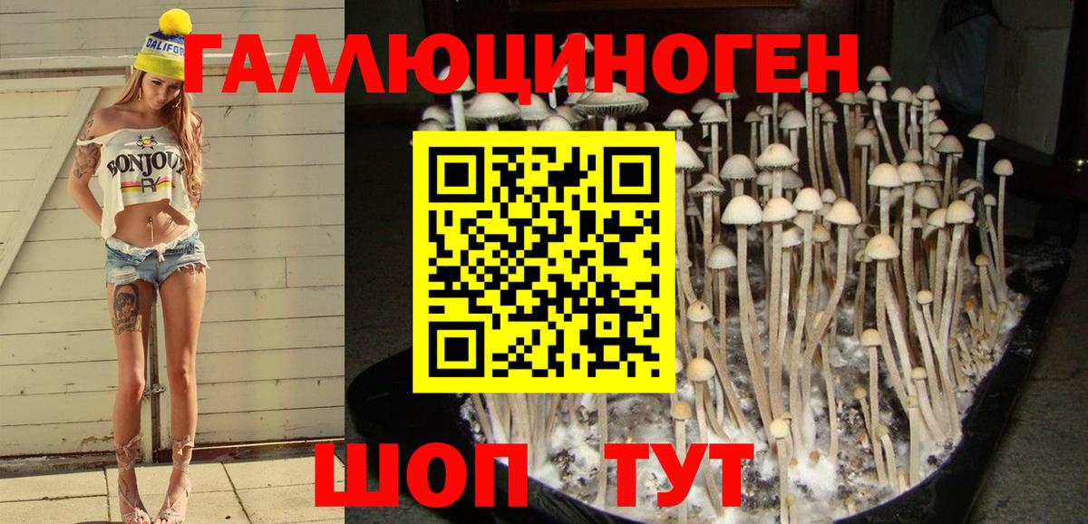 Галлюциногенные грибы мицелий Кириши