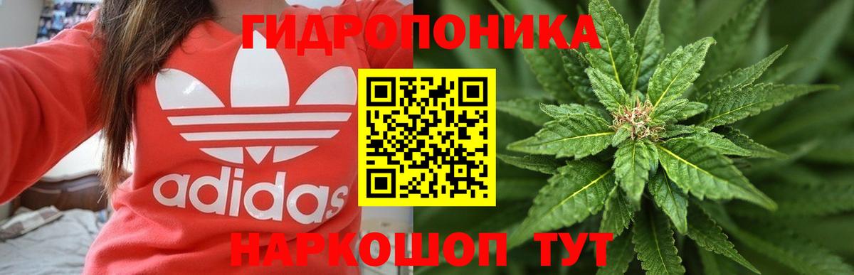 Кириши  Шишки марихуана MAZAR  Вход с VPN  Каннабис тримм  Каннабис SATIVA & INDICA  МАРИХУАНА индика 
